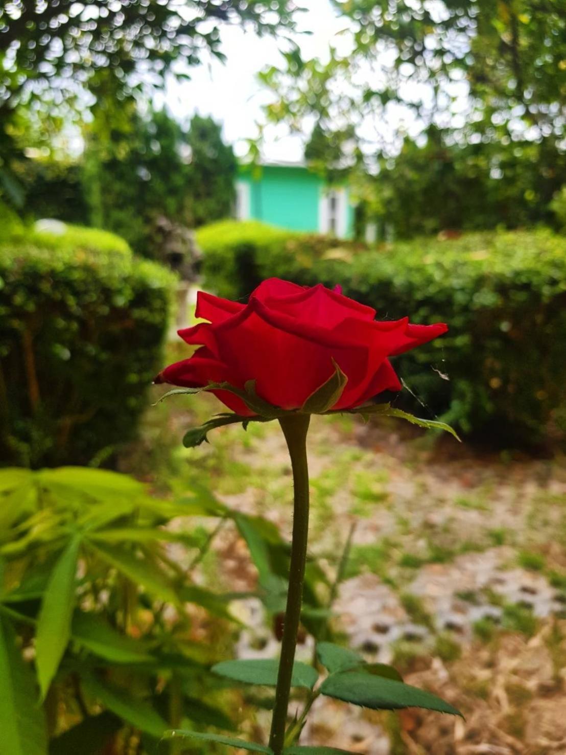 Baan Kung Kang De Pai Hotel Buitenkant foto