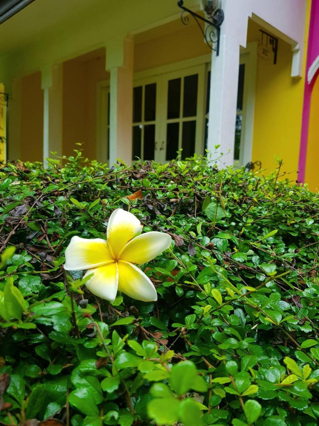 Baan Kung Kang De Pai Buitenkant foto