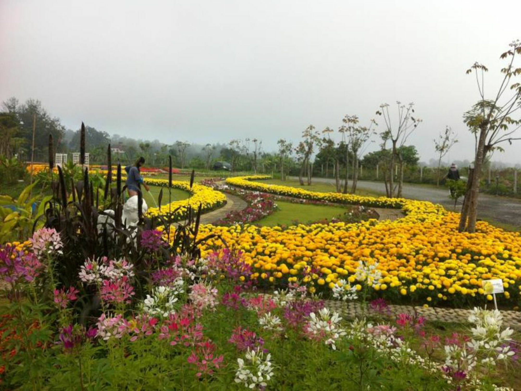 Baan Kung Kang De Pai Hotel Buitenkant foto